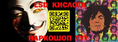 прущие крисы Новозыбков
