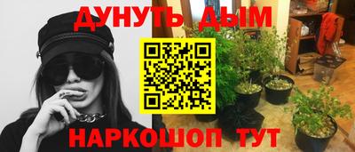 дмт Новокубанск